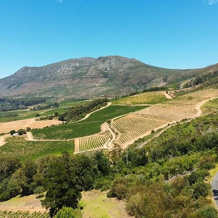 Constantia Vista Guest House Cape Town Bagian luar foto