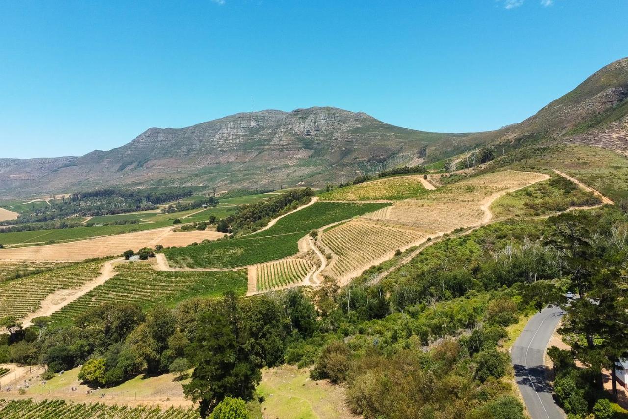 Constantia Vista Guest House Cape Town Bagian luar foto